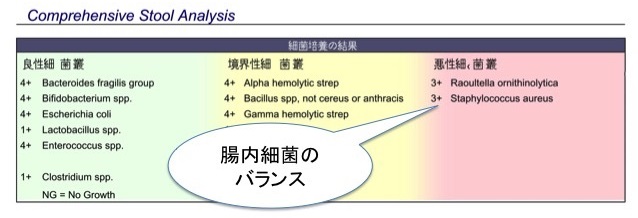 腸内細菌のバランス