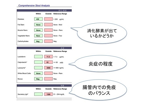 消化酵素の分泌の状態