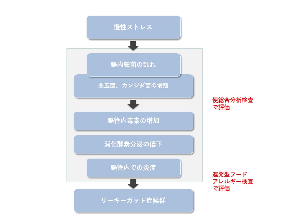 リーキーガットとのの関係