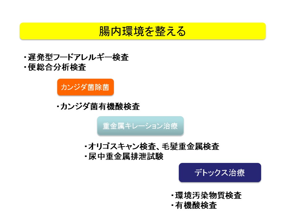 自己治癒力を高めるための治療指針【自己治癒力を高める医療】｜小西 ...