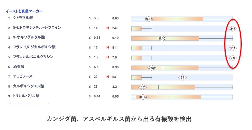 真菌から排出される毒素の検出