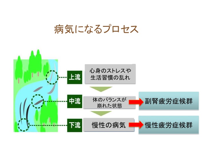慢性疲労症候群と副腎疲労症候群 何が違うのか コラム 小西統合医療内科 慢性疲労症候群と副腎疲労症候群 何が違うのか コラム 小西統合医療内科